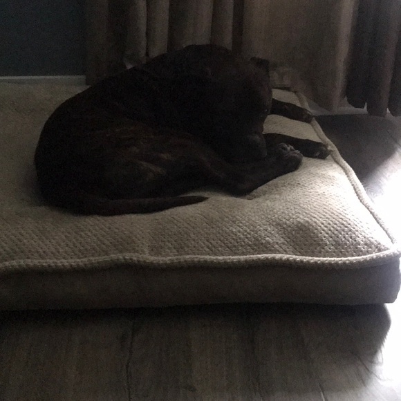 Meet your Posher, Shellie - Picture 1 of 1